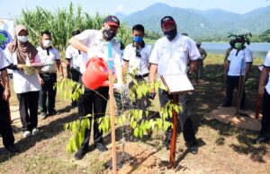 TNB tanam 130 pokok hutan di Tasik Raban