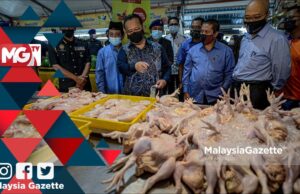 MGNews: Bekalan Ayam Dijamin Cukup Sehingga Selepas Aidilfitri – Alexander