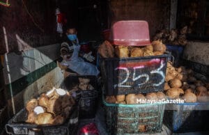 CAP gesa FAMA, KPDN siasat kenaikan harga kelapa