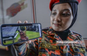 Keberanian ‘jinakkan’ ular bukan alasan untuk dabik dada