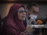Selangor arah PBT kawal populasi anjing liar elak penyakit rabies merebak