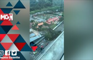 Pemandu kereta, penunggang motosikal dihempap pokok tumbang
