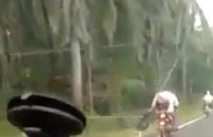 Lelaki seret kucing guna motor ditahan polis