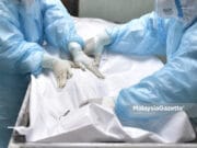 Covid-19 death toll body