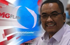 MB Bukan “Test Drive” Tapi Tengok Saja, Henti Telagah Logo PKR Atau PH