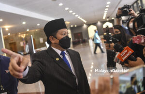 Ahmad Maslan tarik diri calon Timbalan Speaker
