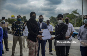 114 NGO sokong Tun M jadi Pengerusi MPN