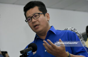 Ng Chok Sin MCA kerajaan Selangor