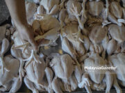 Harga ayam RM10 sekilogram jika tiada intervensi kerajaan