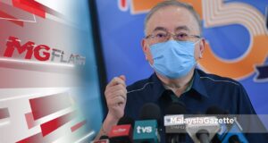 Wee Ka Siong Competent Driving License CDL senior citizens 70 years-old