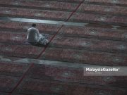 Antara hormat dan iktiraf: Jangan sampai sama taraf.