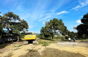 Tanah seluas 20 hektar untuk tanam musang king