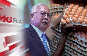 Najib Cadang Subsidi Dedak Untuk Turunkan Harga Ayam, PRU 15 Wajar Disegerakan-UMNO #MGFlash