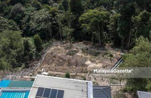 Penduduk dakwa kebun durian haram Hutan Bukit Cherakah masih aktif The aerial view of the encroached Bukit Cherakah Forest Reserve behind the Taman Bukit Bayu U10 bungalow lots in Shah Alam. PIX: MOHD ADZLAN / MalaysiaGazette / 05 DECEMBER 2021