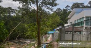 deforestation The Bukit Cherakah Forest Reserve behind bungalows at Taman Bukit Bayu U10, Shah Alam, Selangor has been encroached and turned into illegal durian farm. PIX: MOHD ADZLAN / MalaysiaGazette / 05 DECEMBER 2021