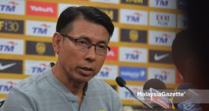 harimau malaya