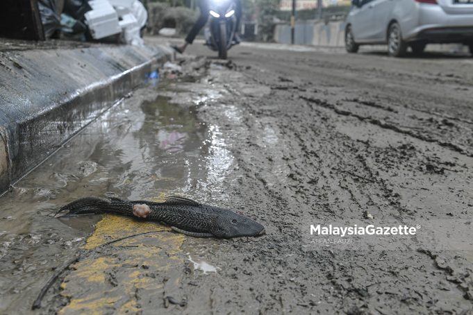 Banjir Jalan Ipoh