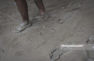 Waspada risiko penyakit Melioidosis semasa banjir