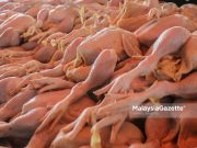 Standard chicken price in Selangor at RM8.90 per kg chicken supply farmers price eggs ceiling maximum