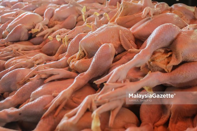 chicken supply farmers price eggs ceiling maximum