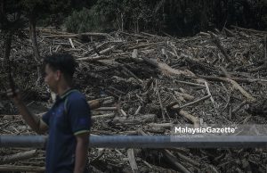 Jenayah alam sekitar semakin kritikal