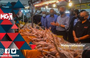 MGNews : Memang Benar Harga Barang Basah Naik Seperti Harga Ayam – PM