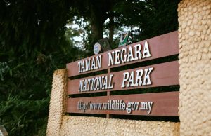 Pelancong dinasihat keluar dari Taman Negara Kuala Tahan