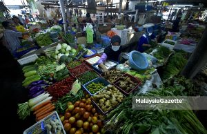 Kenapa hanya harga peniaga dikawal, pembekal pula tidak?