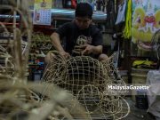Lensa MG | KEPALA SINGA Sempena Tahun Baru Cina