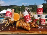 R-38 produk herba atasi masalah sendiri hasil kajian UMT