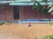 Banjir: Jumlah mangsa terus menurun di Johor, Melaka