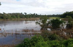 Lebuhraya Karak, LPT1 selamat untuk pengguna