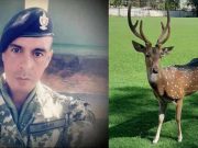 Askar Paraguay maut diserang rusa istana presiden