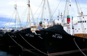 Penangkapan ikan paus di Iceland bakal diharamkan pada 2024