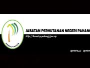 Pahang batal kelulusan kawasan pembalakan seluas 40.47 hektar di Bukit Makro
