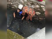 Penunggang motosikal tercampak dalam longkang dilanggar kereta
