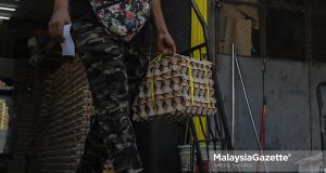 chicken eggs supply shortage price SHMKM Keluarga Malaysia Maximum Price Scheme