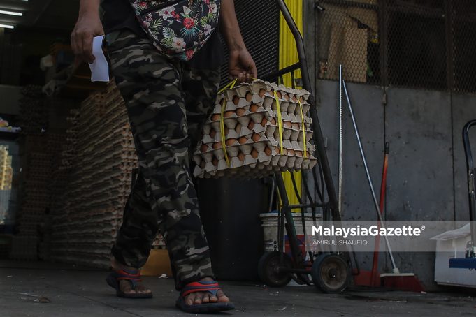 chicken eggs supply shortage price SHMKM Keluarga Malaysia Maximum Price Scheme