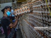 Banyak kedai runcit kehabisan bekalan telur – Pengguna Telur