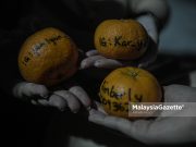 Sambutan Perayaan Chap Goh Mei di Tasik Taman Jaya