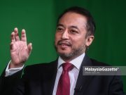 Akar umbi mahu PRU15 diadakan sebelum pemilihan parti tahun ini – Isham isham jalil