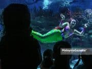 Ikan Duyung ‘Bring Little Mermaid to Life’ Curi Tumpuan di Aquaria