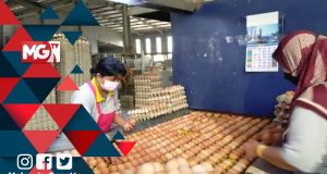 eggs supply shortage FLAM SHMKM ceiling price