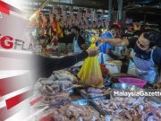 Intervensi Kerajaan Stabilkan Harga Ayam #MGFlash