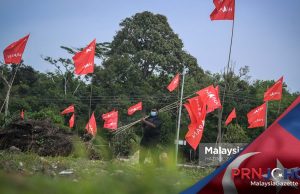 PRN Johor : Pemasangan Bendera PH Sekitar Sungai Terap
