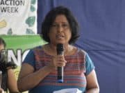 Pengurusan hutan di Malaysia perlu konsisten – SAM