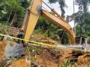Orang awam digesa salur maklumat pencerobohan hutan