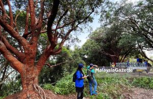Bukit Merah lokasi unik buat pendaki