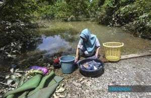 Banjir di Terengganu dan Kelantan semakin pulih