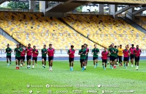 Harimau Malaya dapat sesuaikan diri dengan rejim latihan baharu – Kogi